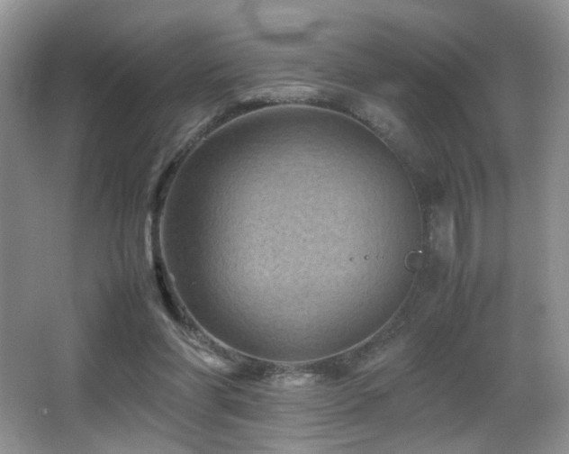 X0000065980206200603031203