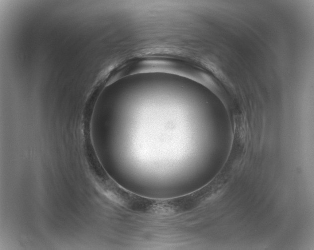 X0000065980207200603031203