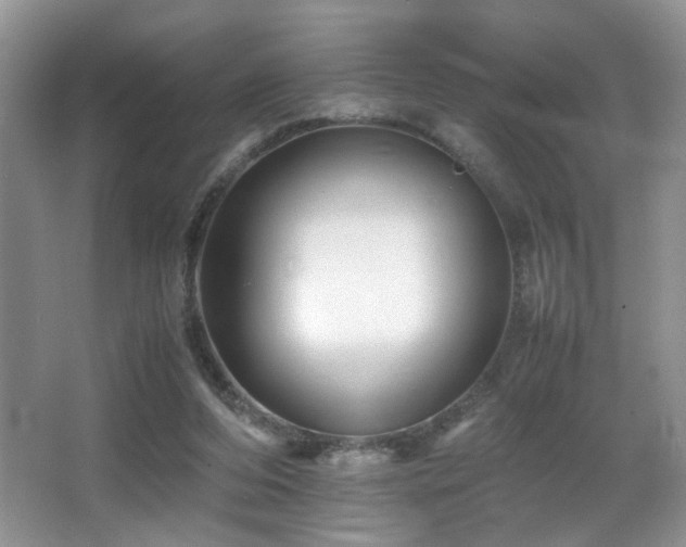 X0000065980208200603031203