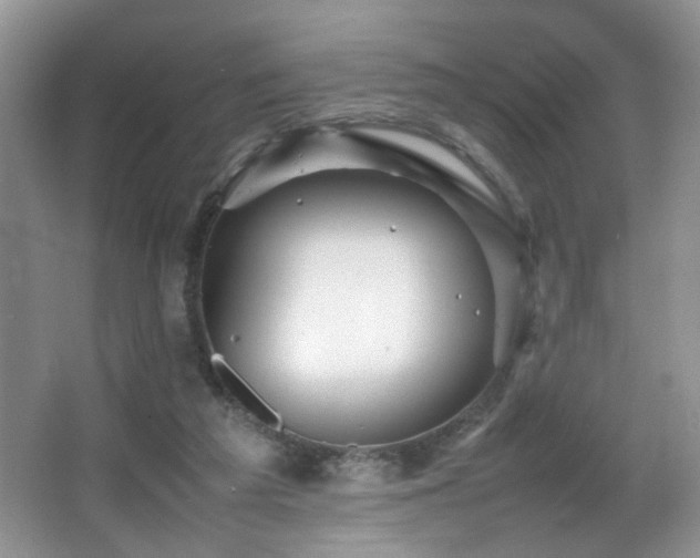 X0000065980209200603031203