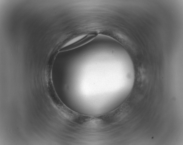 X0000065980210200603031203