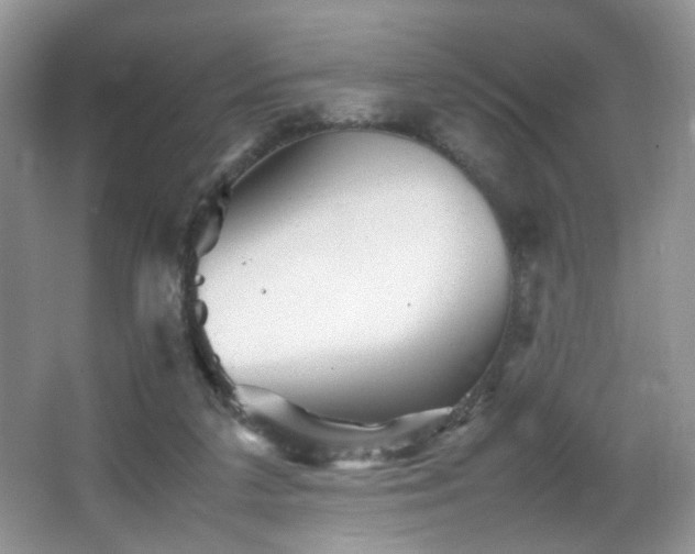 X0000065980211200603031203