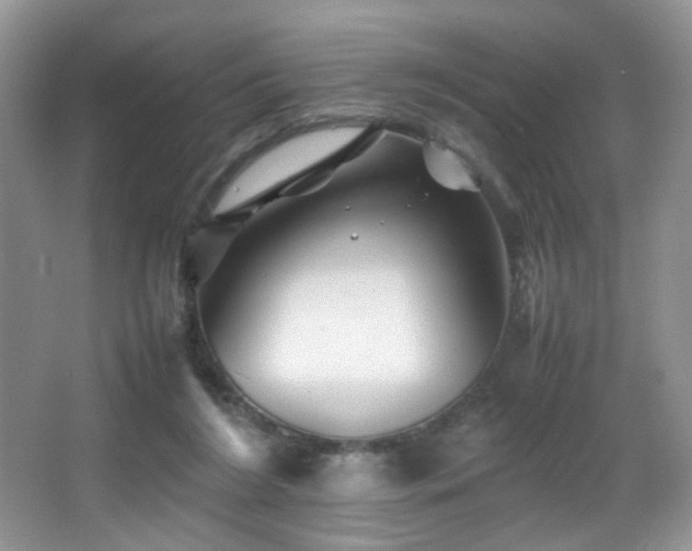 X0000065980212200603031203