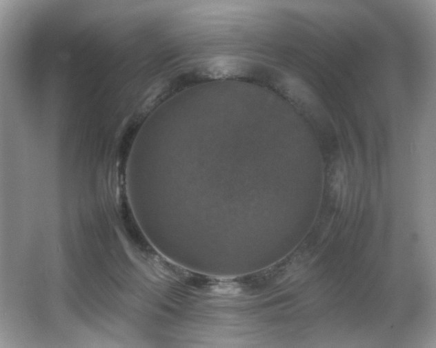 X0000065980214200603031203