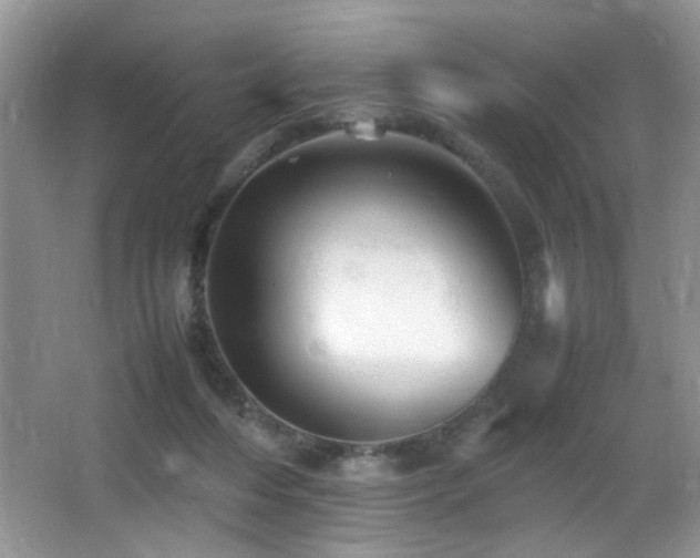 X0000065980216200603031203