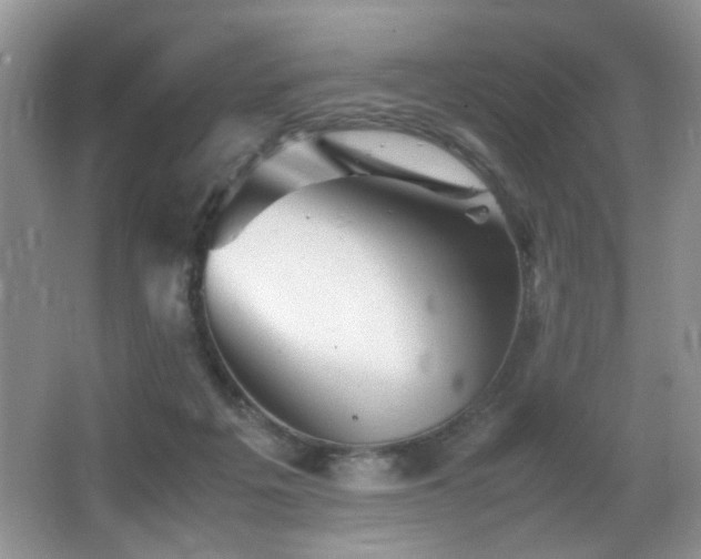 X0000065980217200603031203