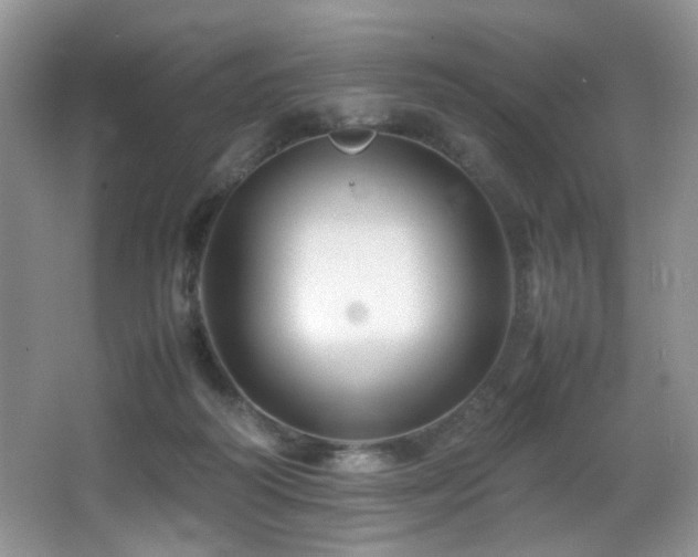 X0000065980218200603031203