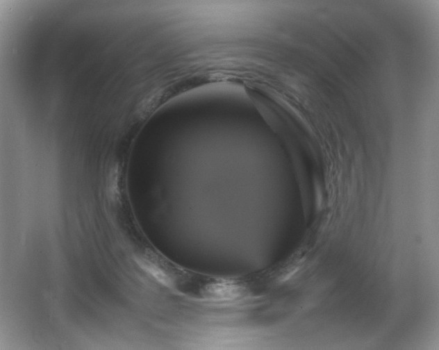 X0000065980219200603031203