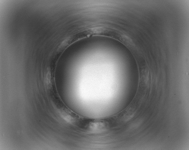 X0000065980220200603031203