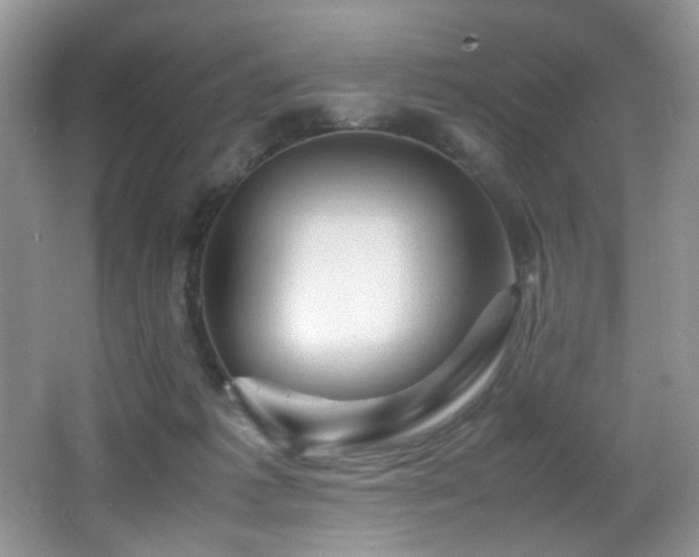 X0000065980221200603031203