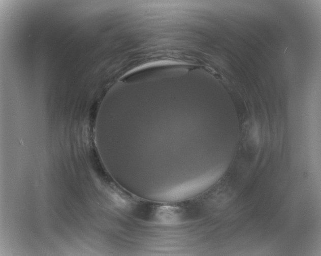 X0000065980222200603031203