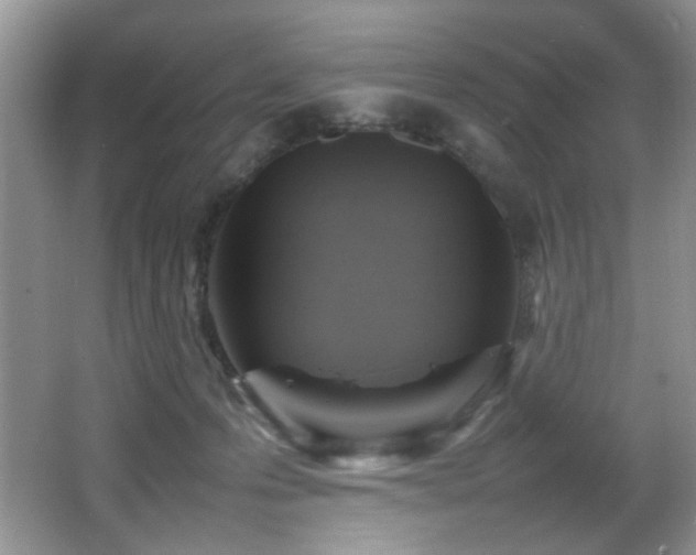 X0000065980223200603031203