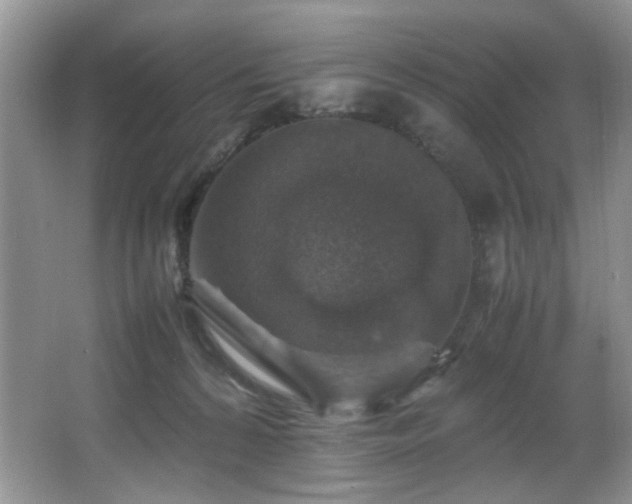 X0000065980224200603031203