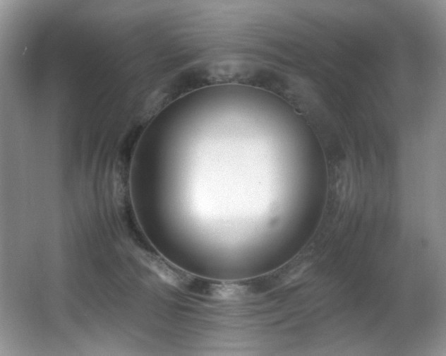 X0000065980226200603031203