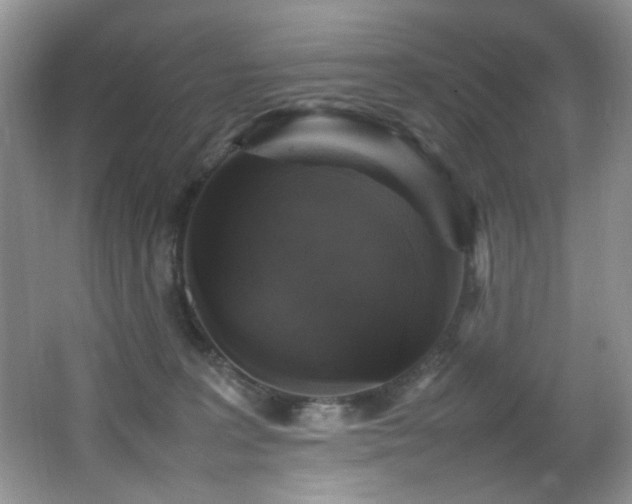 X0000065980227200603031203