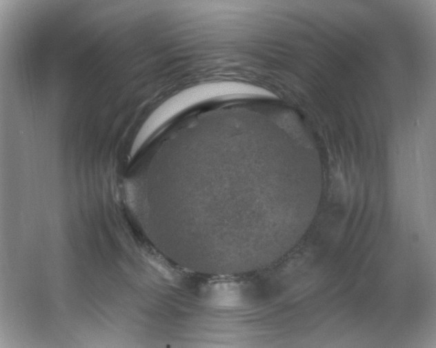 X0000065980228200603031203