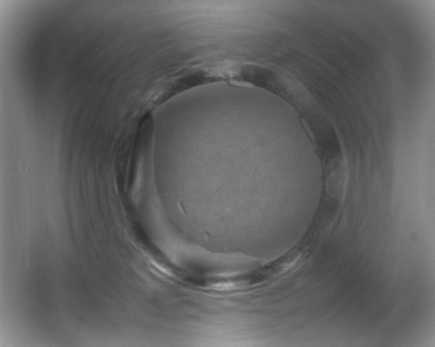 X0000065980229200603031203