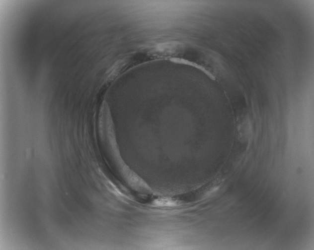 X0000065980231200603031203