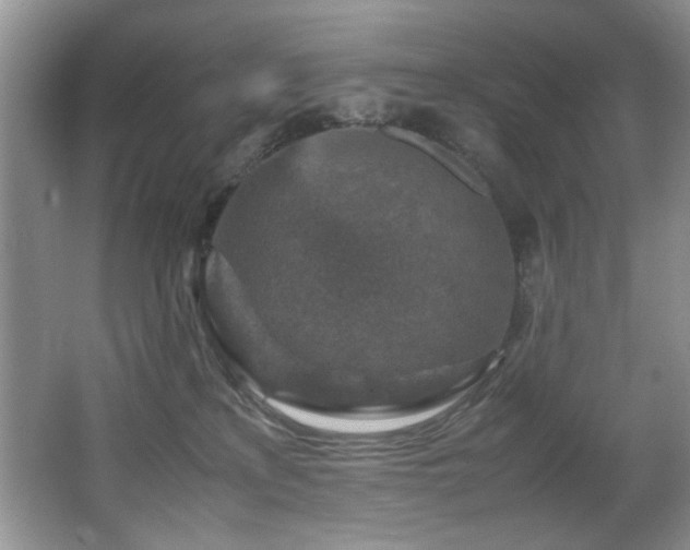 X0000065980233200603031203