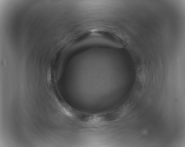 X0000065980235200603031203