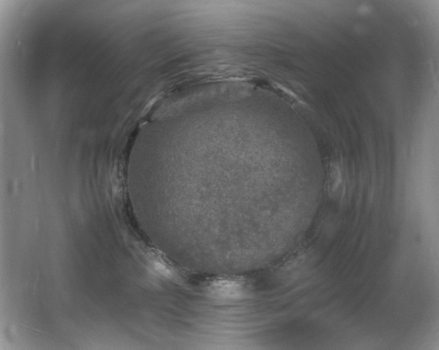 X0000065980236200603031203