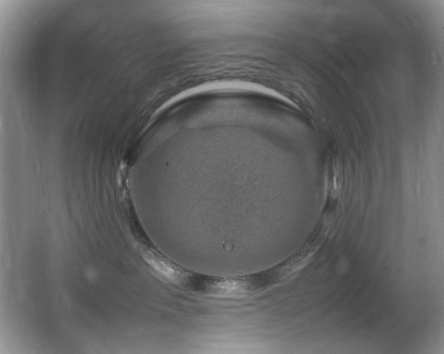 X0000065980237200603031203