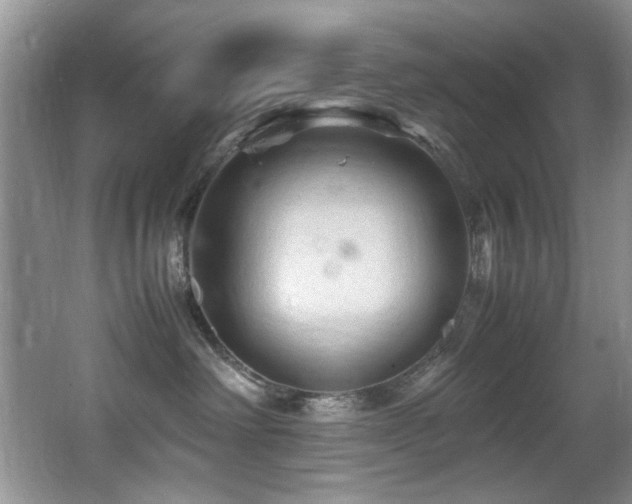 X0000065980238200603031203