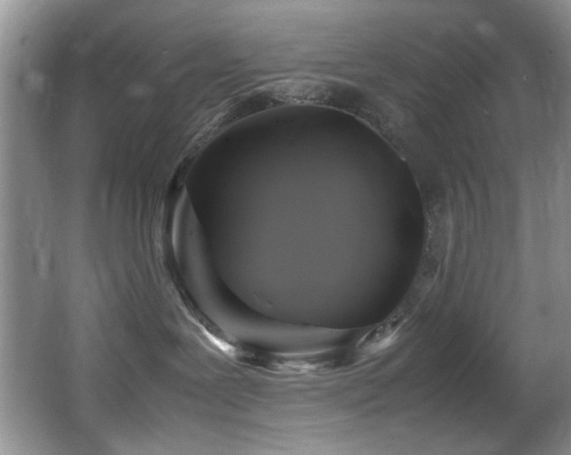 X0000065980239200603031203