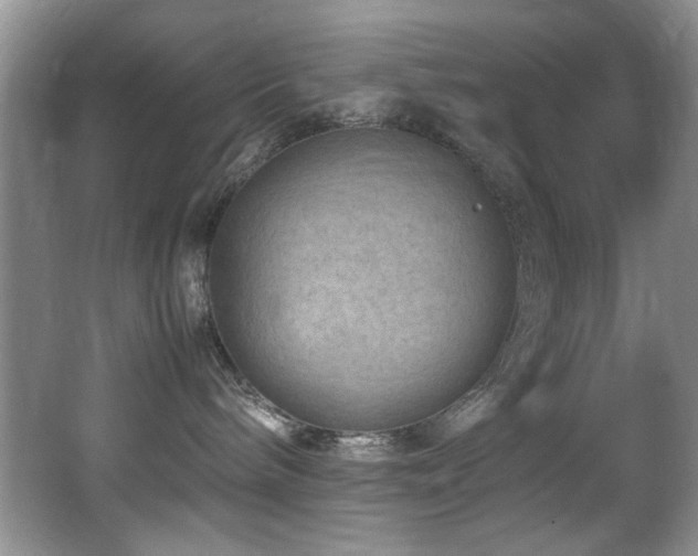 X0000065980240200603031203