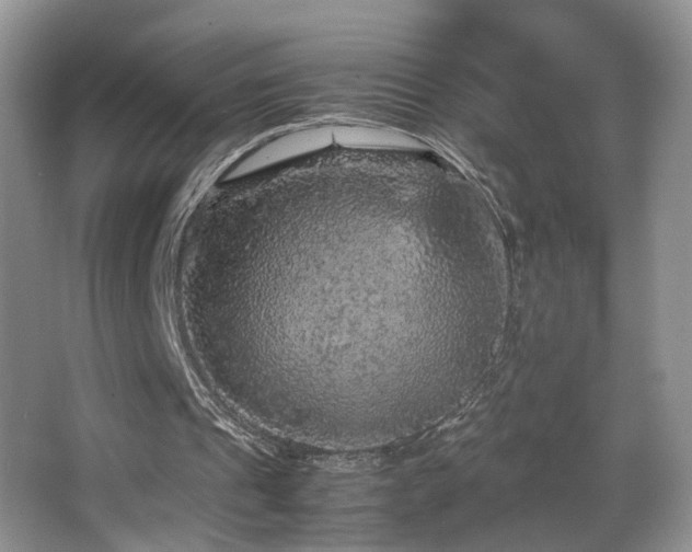 X0000065980241200603031202