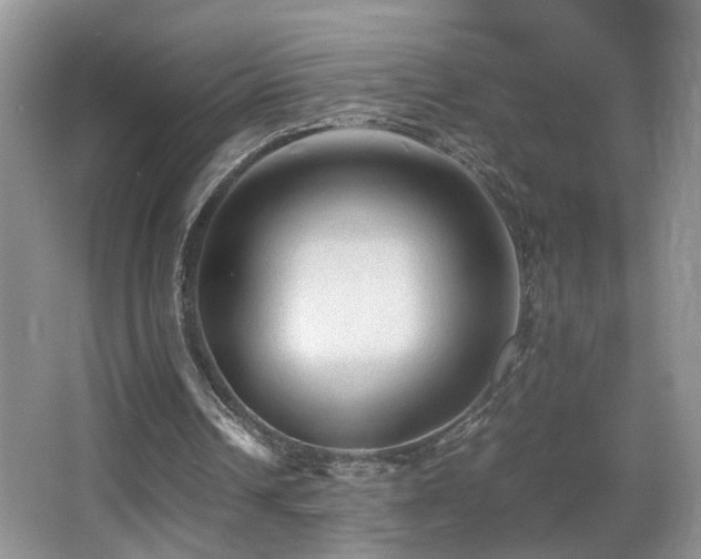 X0000065980242200603031202