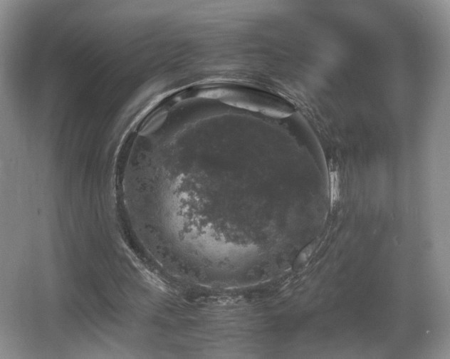 X0000065980243200603031202