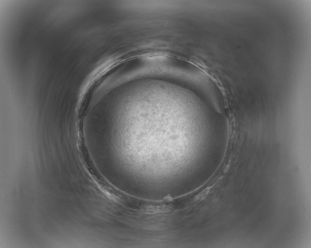 X0000065980245200603031202