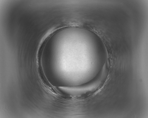 X0000065980246200603031202