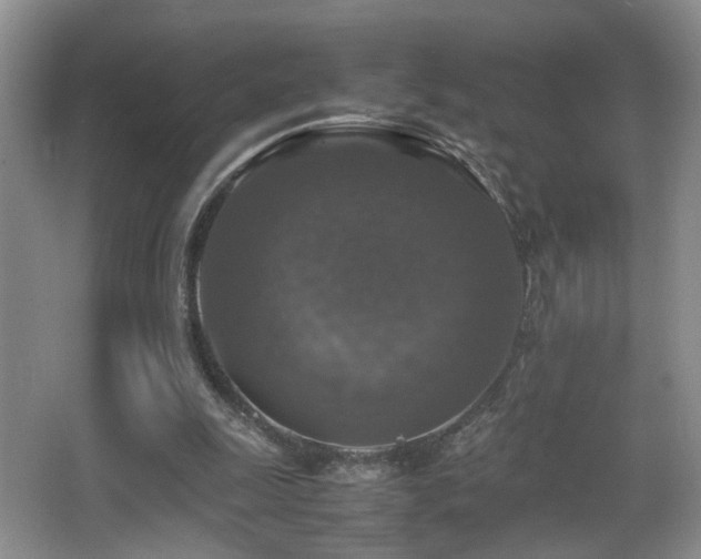 X0000065980247200603031202