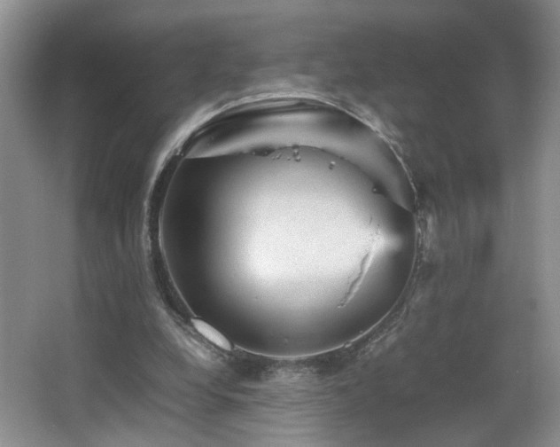 X0000065980248200603031202