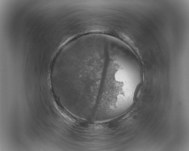 X0000065980249200603031202