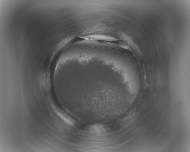 X0000065980250200603031202