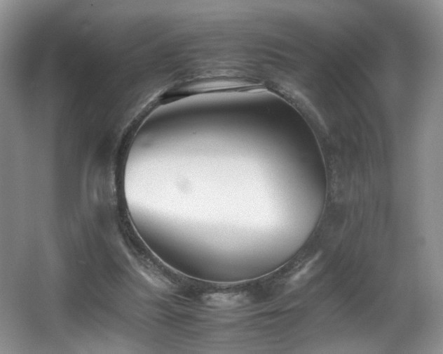 X0000065980251200603031202