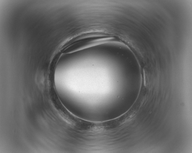 X0000065980252200603031202