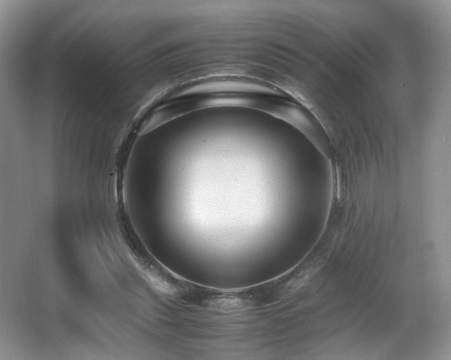 X0000065980253200603031202