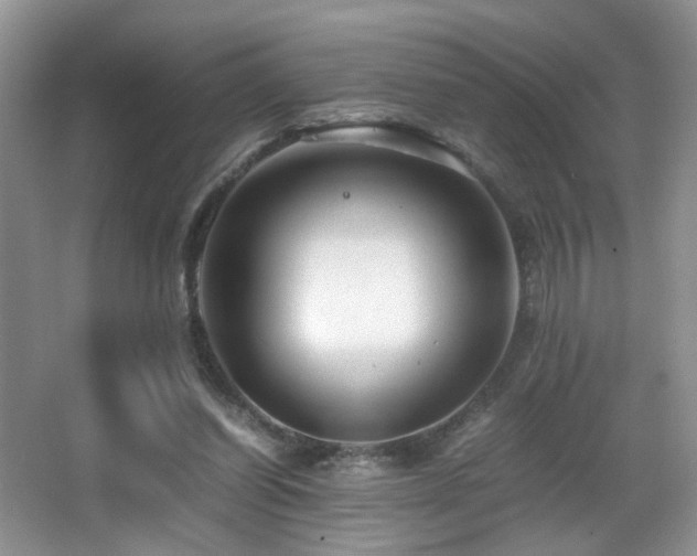 X0000065980254200603031202