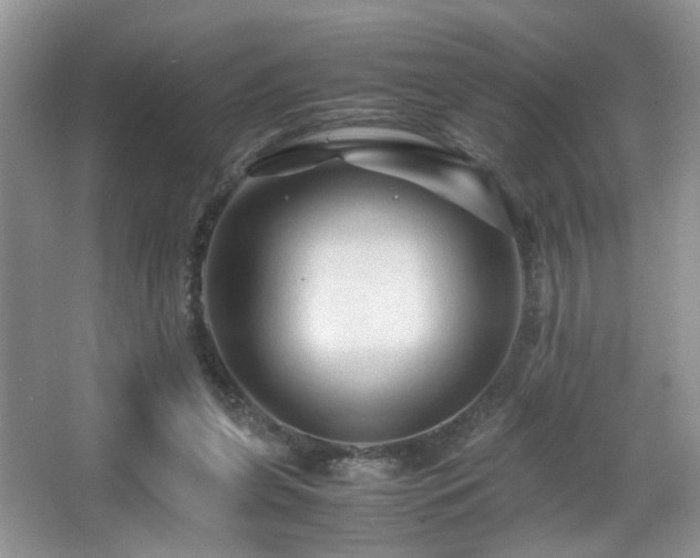 X0000065980255200603031202