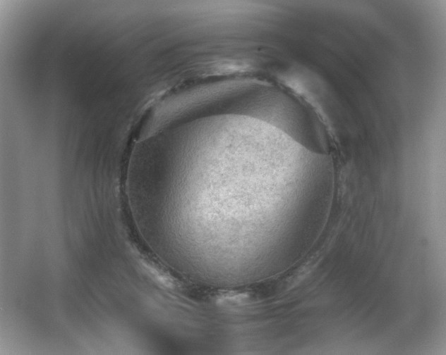 X0000065980257200603031202