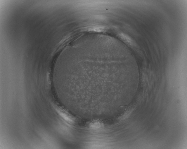 X0000065980258200603031202