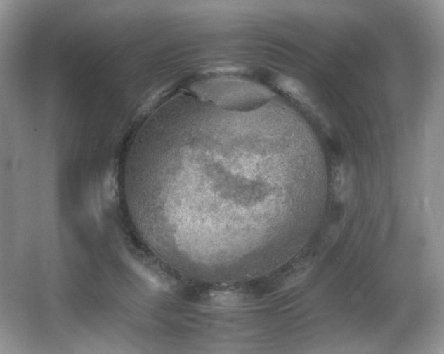 X0000065980259200603031202