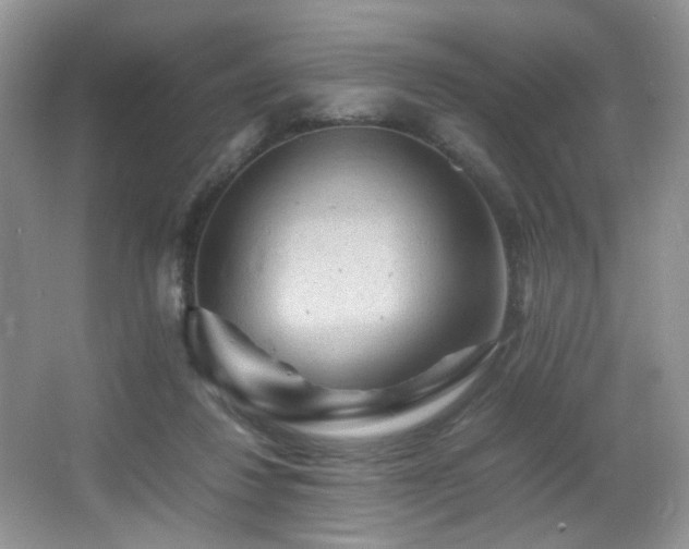 X0000065980260200603031202