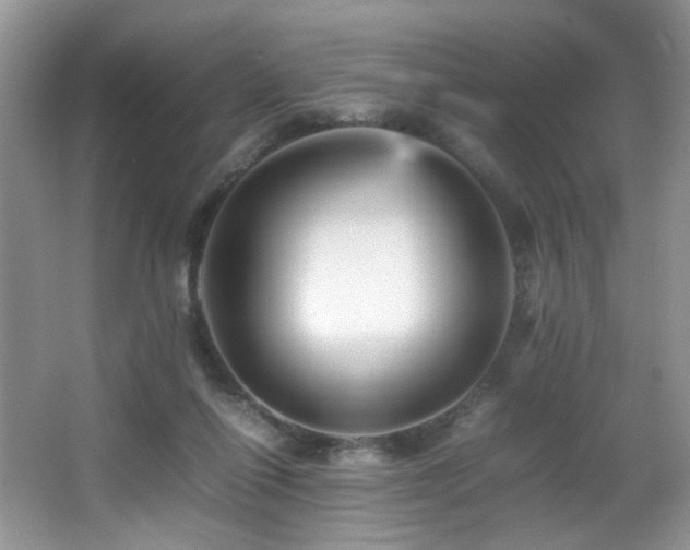 X0000065980262200603031202