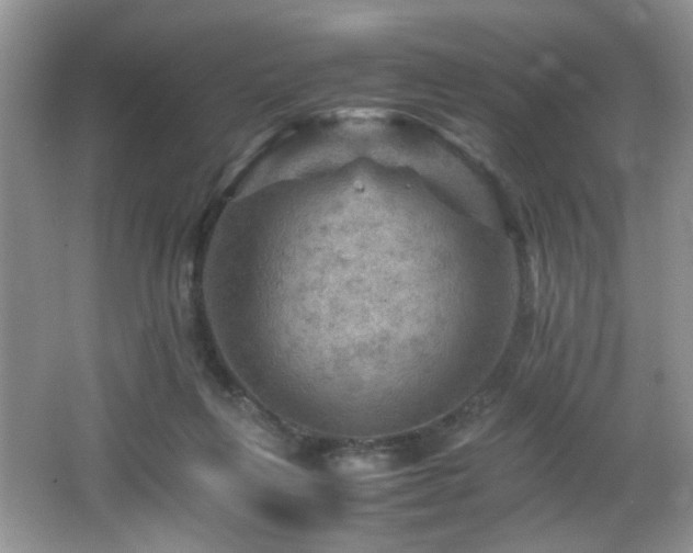 X0000065980263200603031202