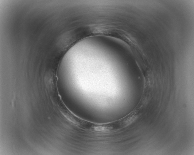 X0000065980265200603031202